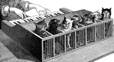 Das Katzen-Piano